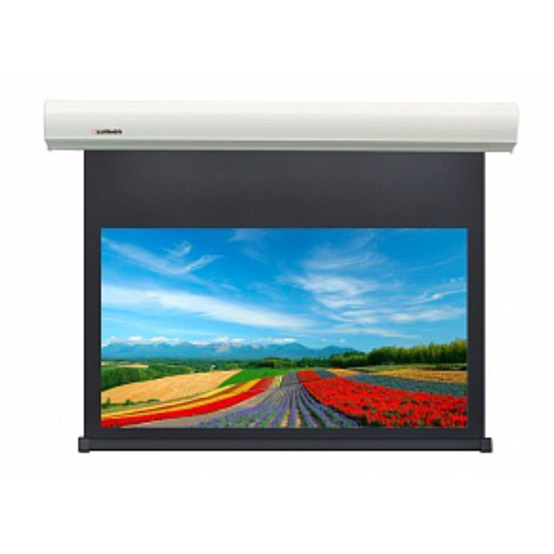 Экран моторизированный Lumien LCC-100114