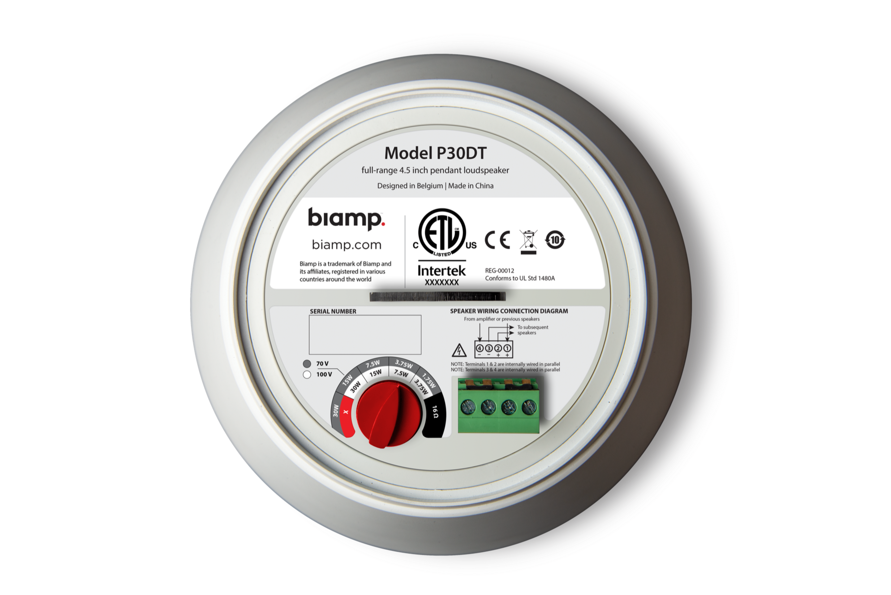  Biamp Desono P30DT-W
